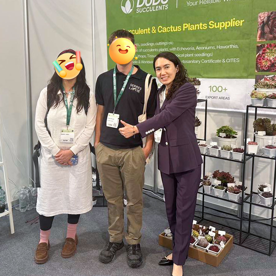 IPM Essen